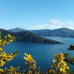 New Zeland